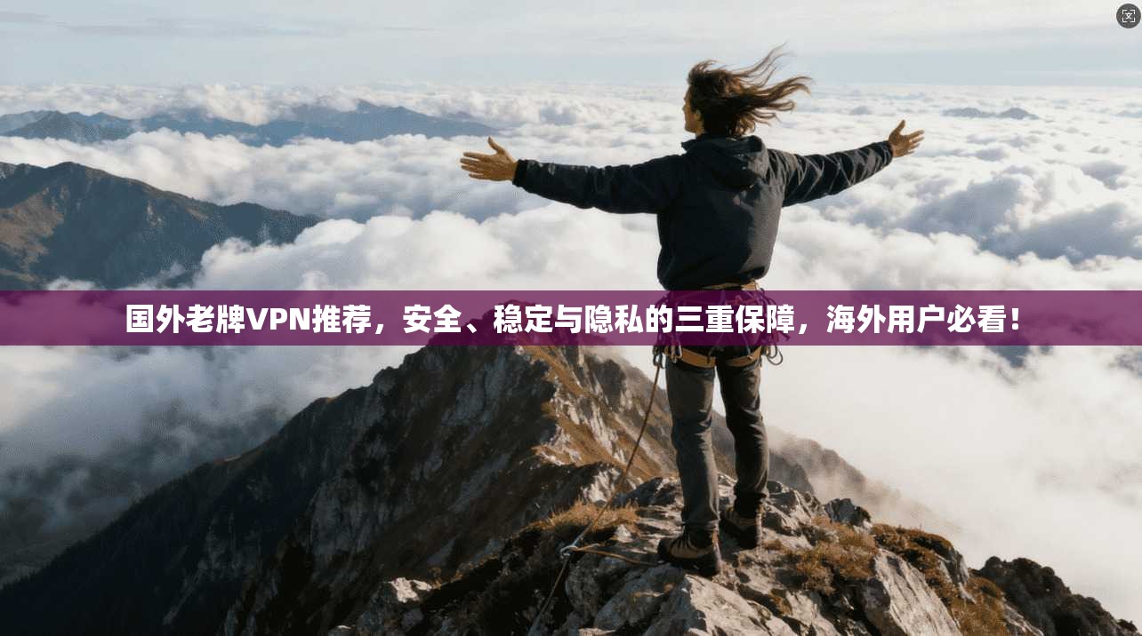国外老牌VPN推荐，安全、稳定与隐私的三重保障，海外用户必看！