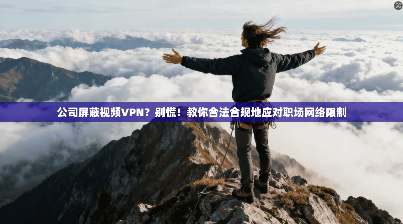 公司屏蔽视频VPN?别慌!教你合法合规地应对职场网络限制