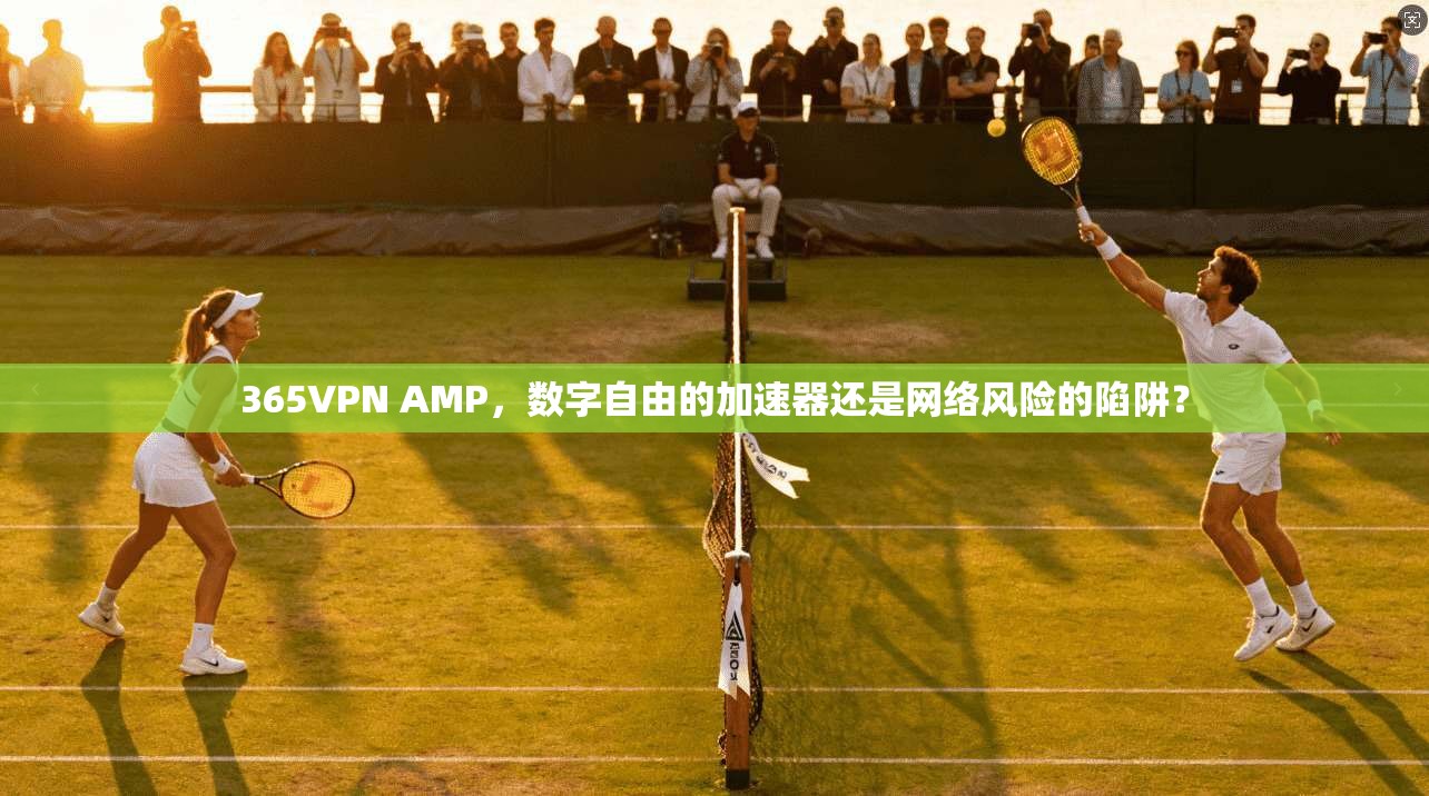365VPN AMP，数字自由的加速器还是网络风险的陷阱？