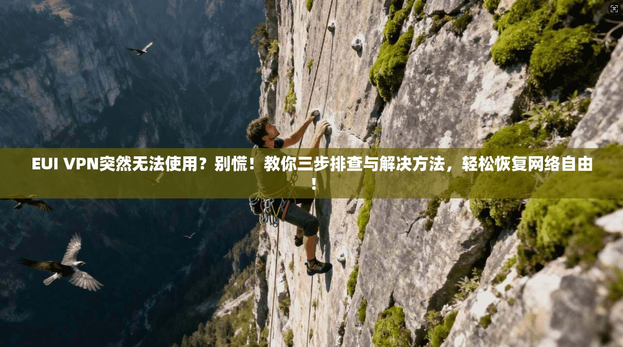 EUI VPN突然无法使用？别慌！教你三步排查与解决方法，轻松恢复网络自由！