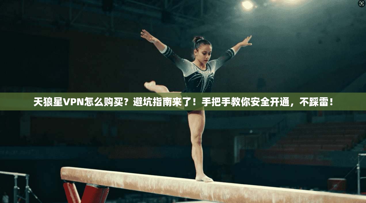 天狼星VPN怎么购买？避坑指南来了！手把手教你安全开通，不踩雷！