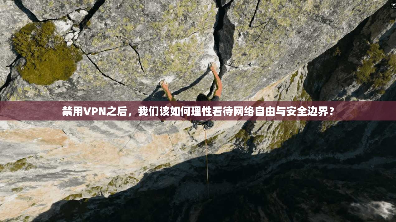 禁用VPN之后,我们该如何理性看待网络自由与安全边界?