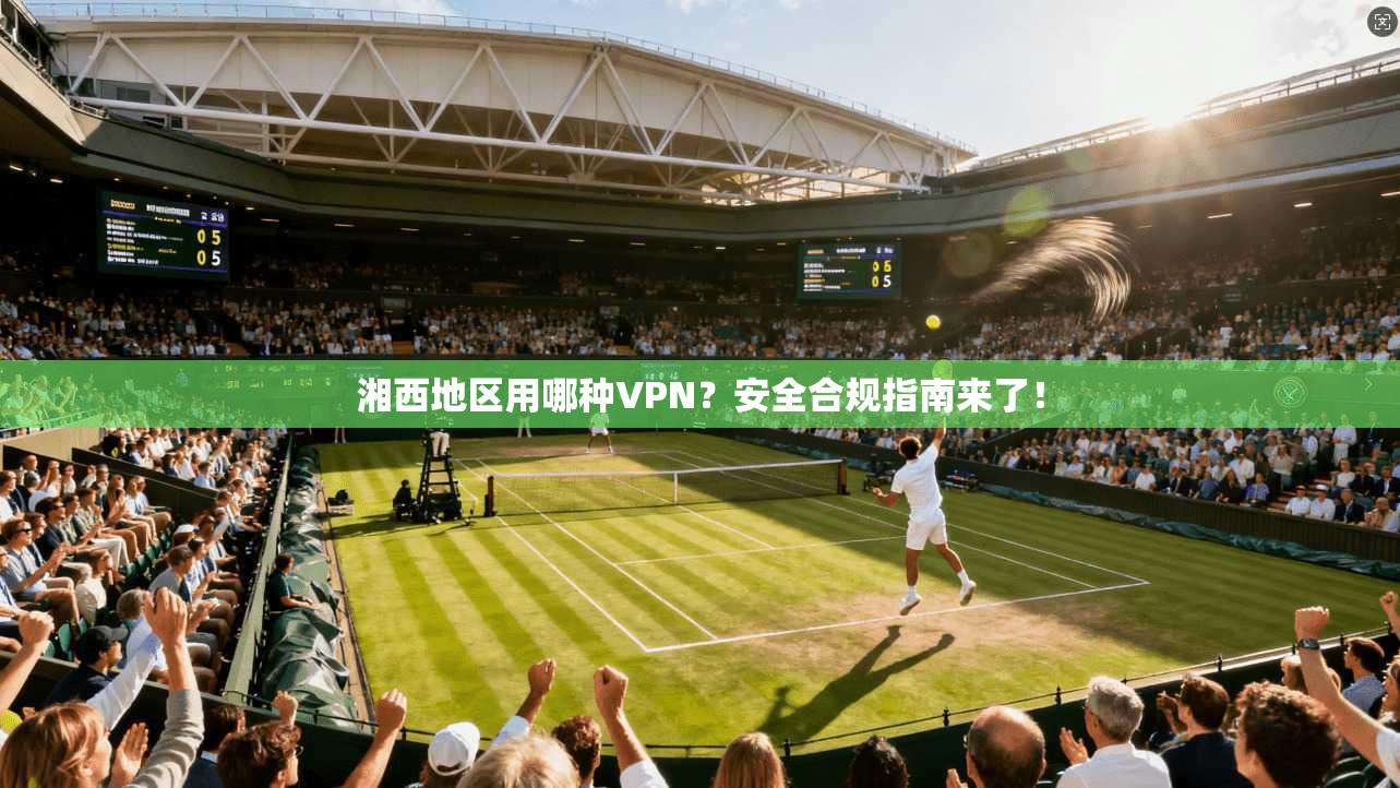 湘西地区用哪种VPN?安全合规指南来了!