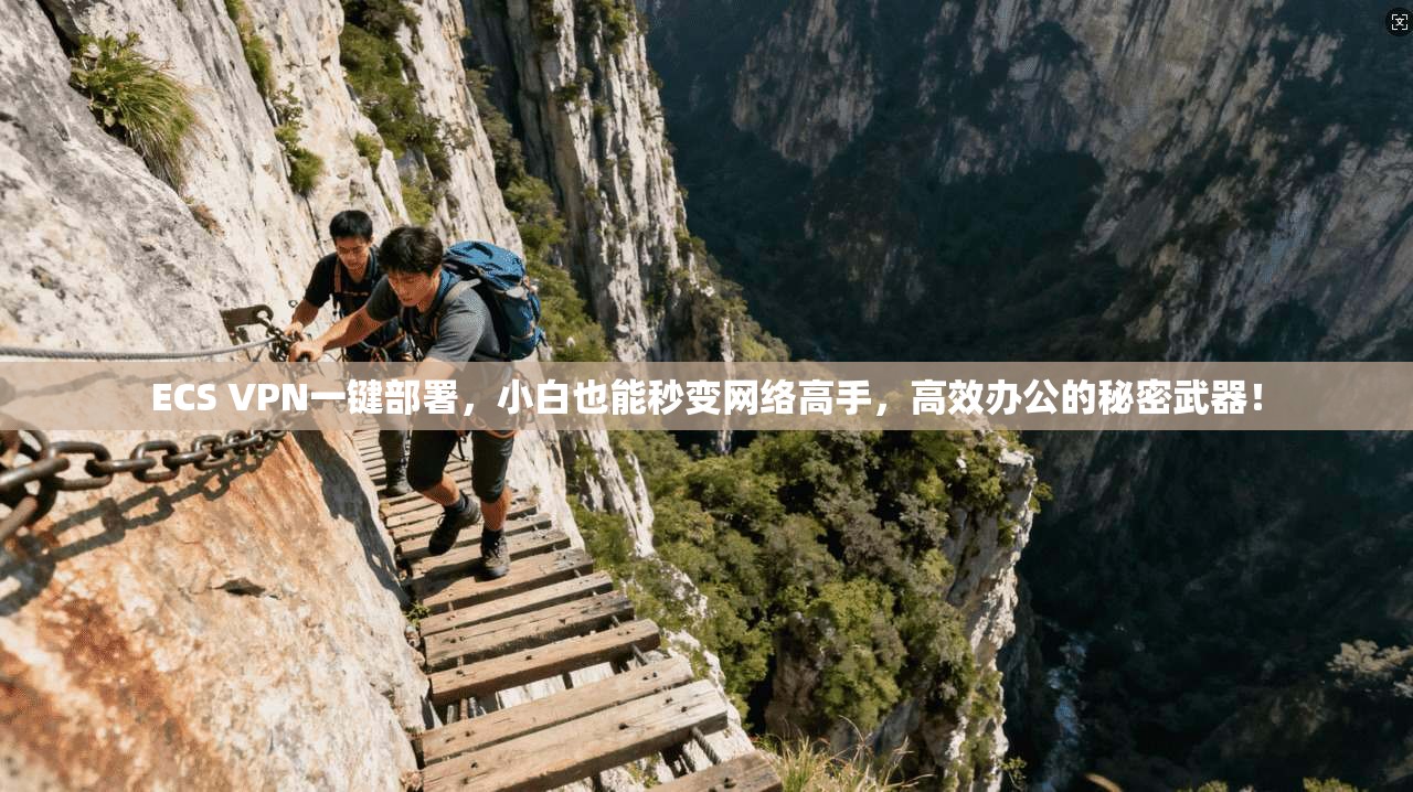 ECS VPN一键部署,小白也能秒变网络高手,高效办公的秘密武器!
