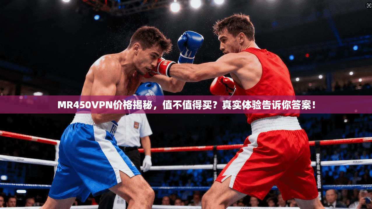MR450VPN价格揭秘，值不值得买？真实体验告诉你答案！