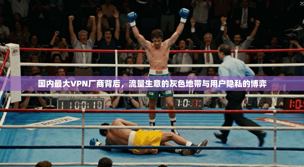国内最大VPN厂商背后,流量生意的灰色地带与用户隐私的博弈