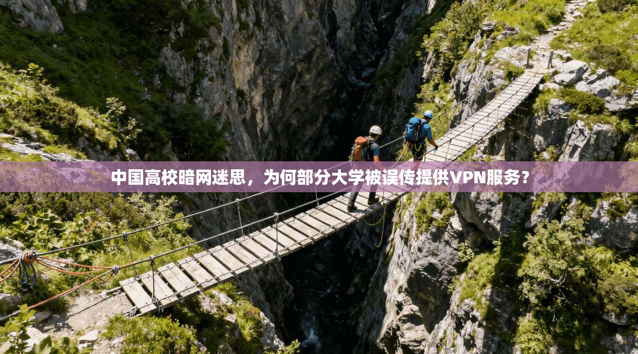 中国高校暗网迷思，为何部分大学被误传提供VPN服务？