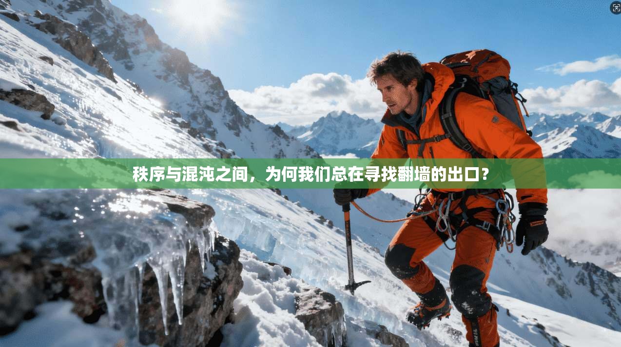 秩序与混沌之间，为何我们总在寻找翻墙的出口？