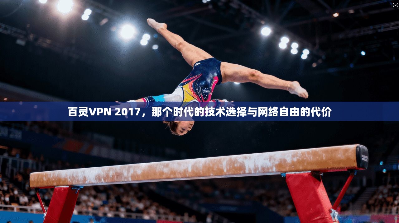 百灵VPN 2017，那个时代的技术选择与网络自由的代价