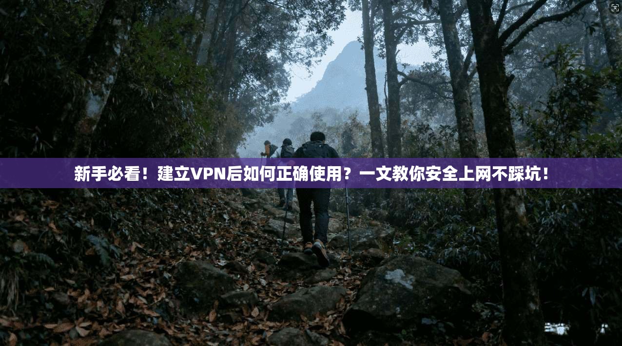 新手必看！建立VPN后如何正确使用？一文教你安全上网不踩坑！