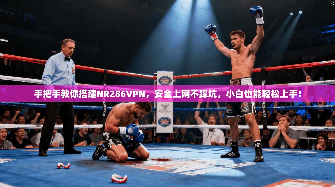 手把手教你搭建NR286VPN，安全上网不踩坑，小白也能轻松上手！