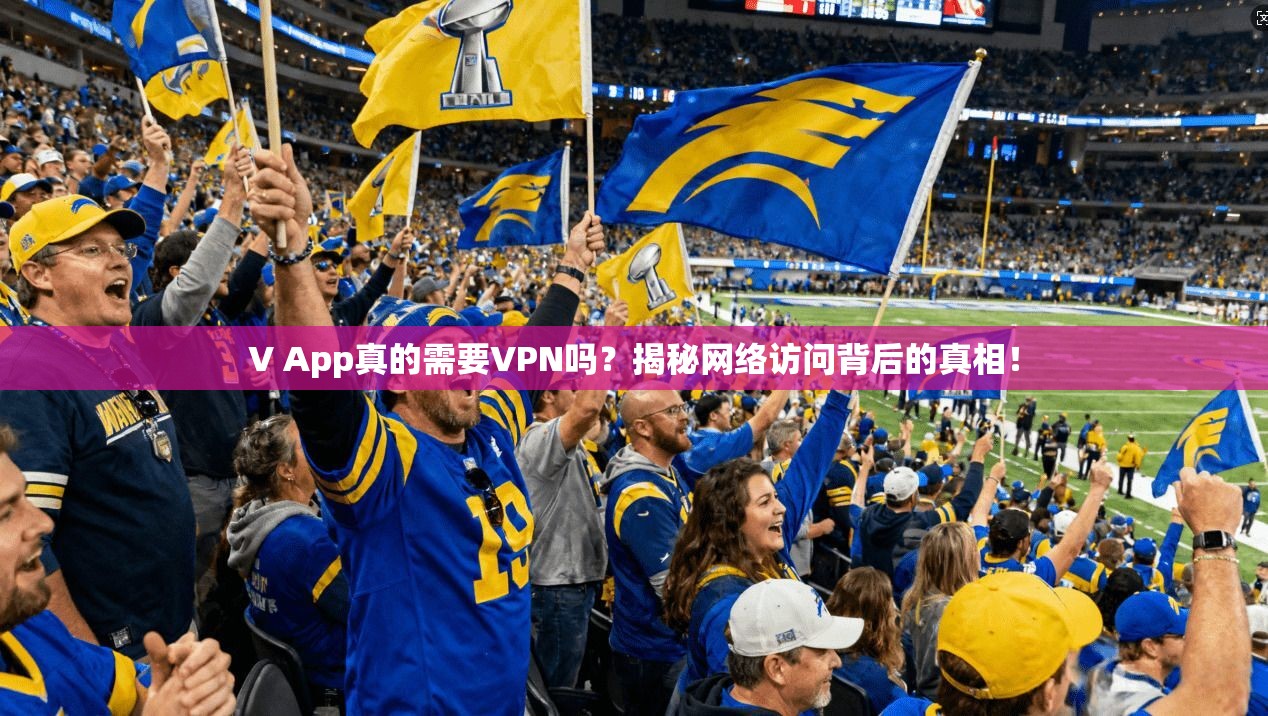 V App真的需要VPN吗？揭秘网络访问背后的真相！