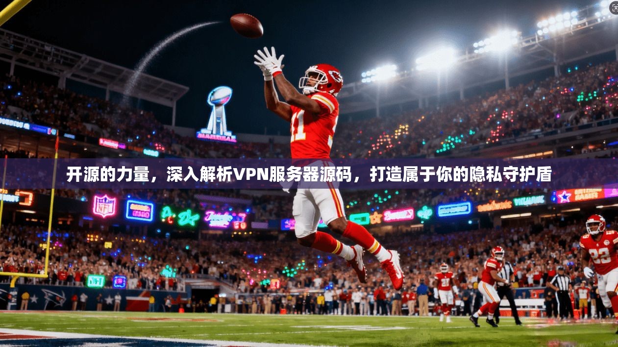 开源的力量，深入解析VPN服务器源码，打造属于你的隐私守护盾