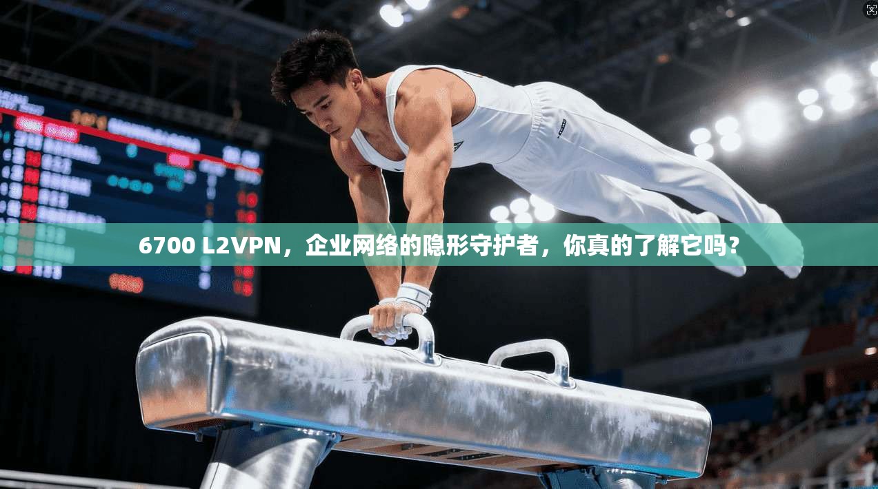 6700 L2VPN，企业网络的隐形守护者，你真的了解它吗？