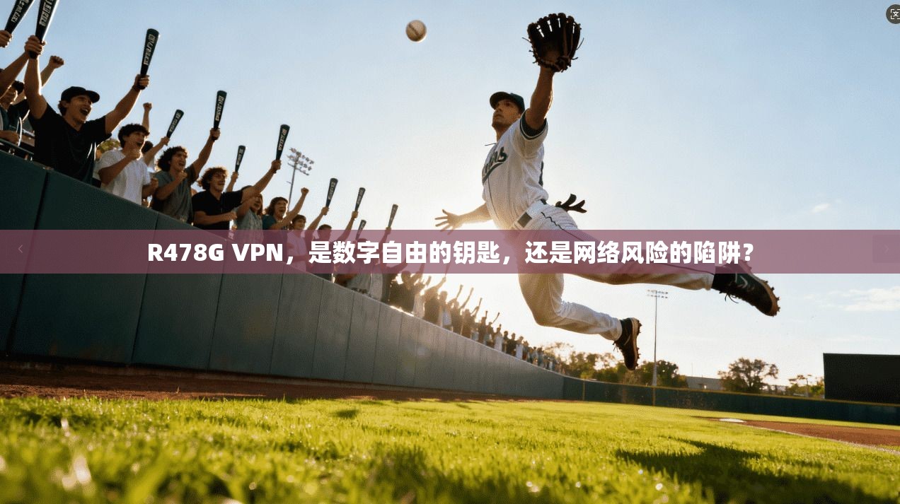 R478G VPN，是数字自由的钥匙，还是网络风险的陷阱？