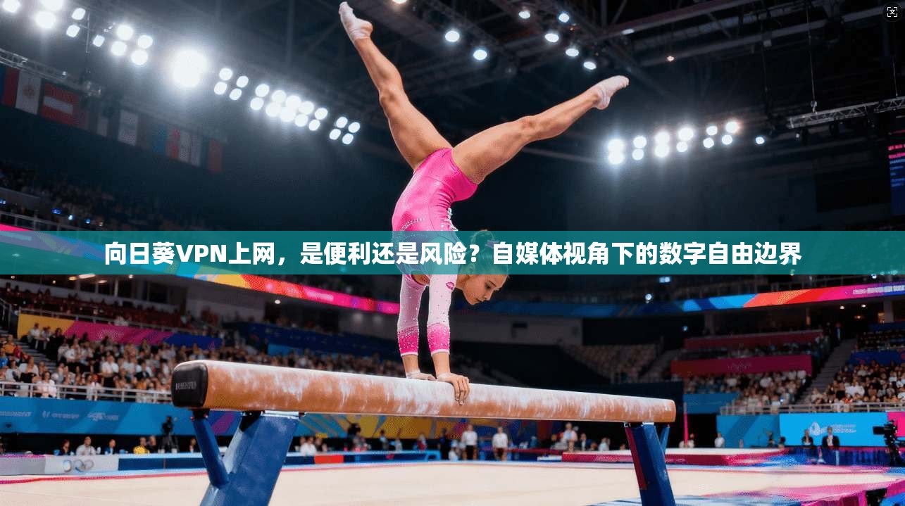 向日葵VPN上网，是便利还是风险？自媒体视角下的数字自由边界