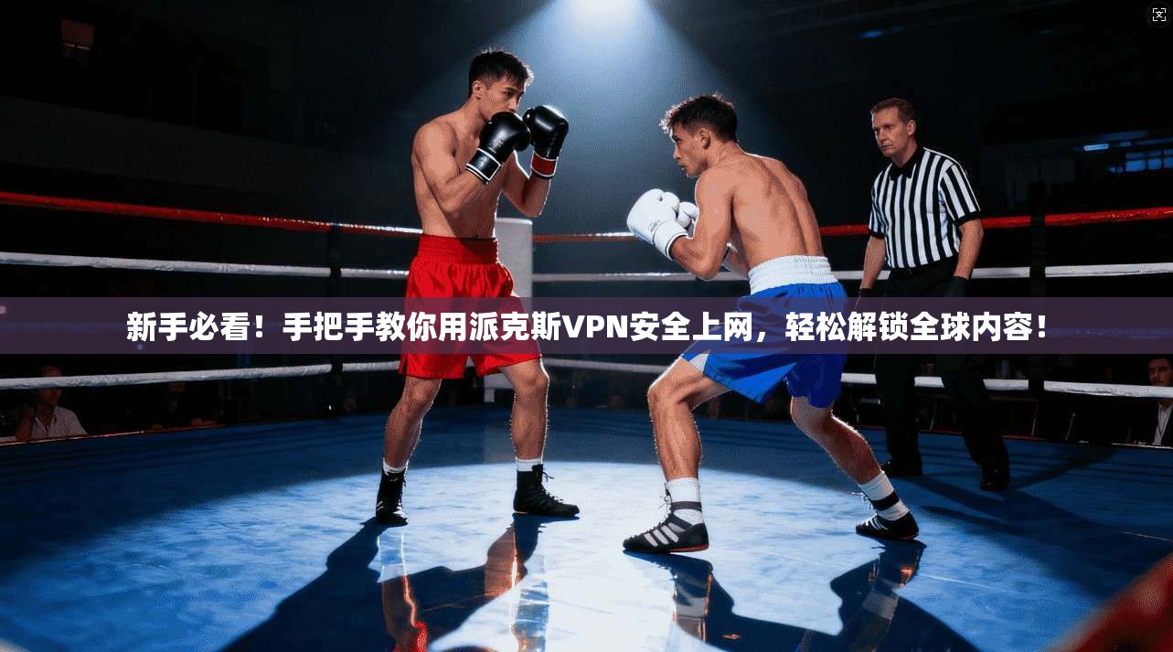 新手必看！手把手教你用派克斯VPN安全上网，轻松解锁全球内容！