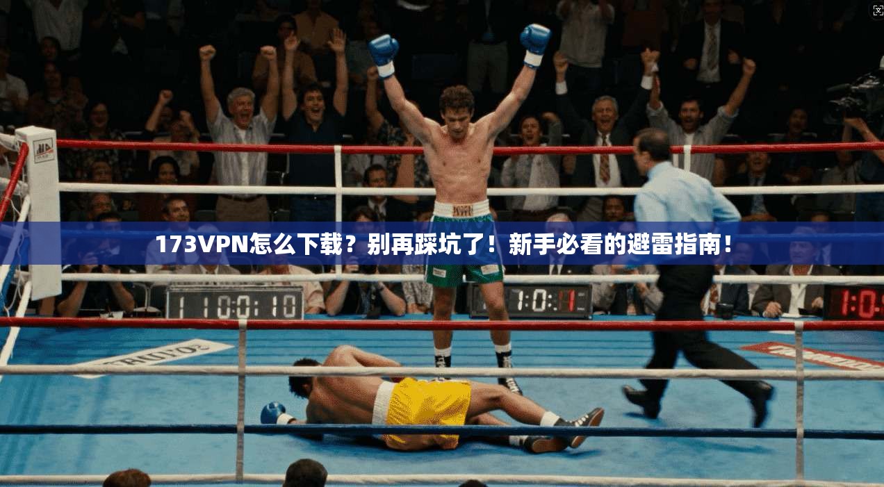 173VPN怎么下载？别再踩坑了！新手必看的避雷指南！