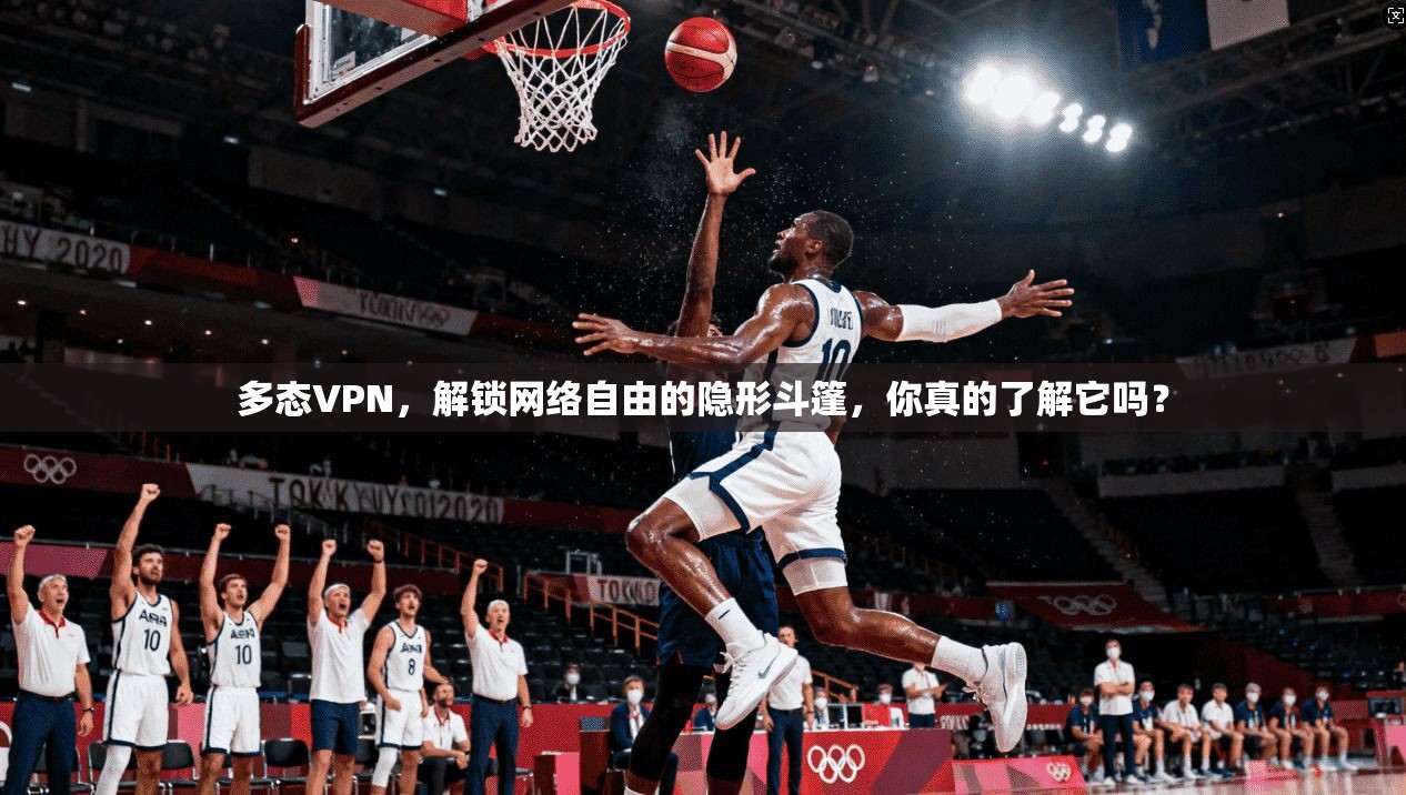 多态VPN,解锁网络自由的隐形斗篷,你真的了解它吗?