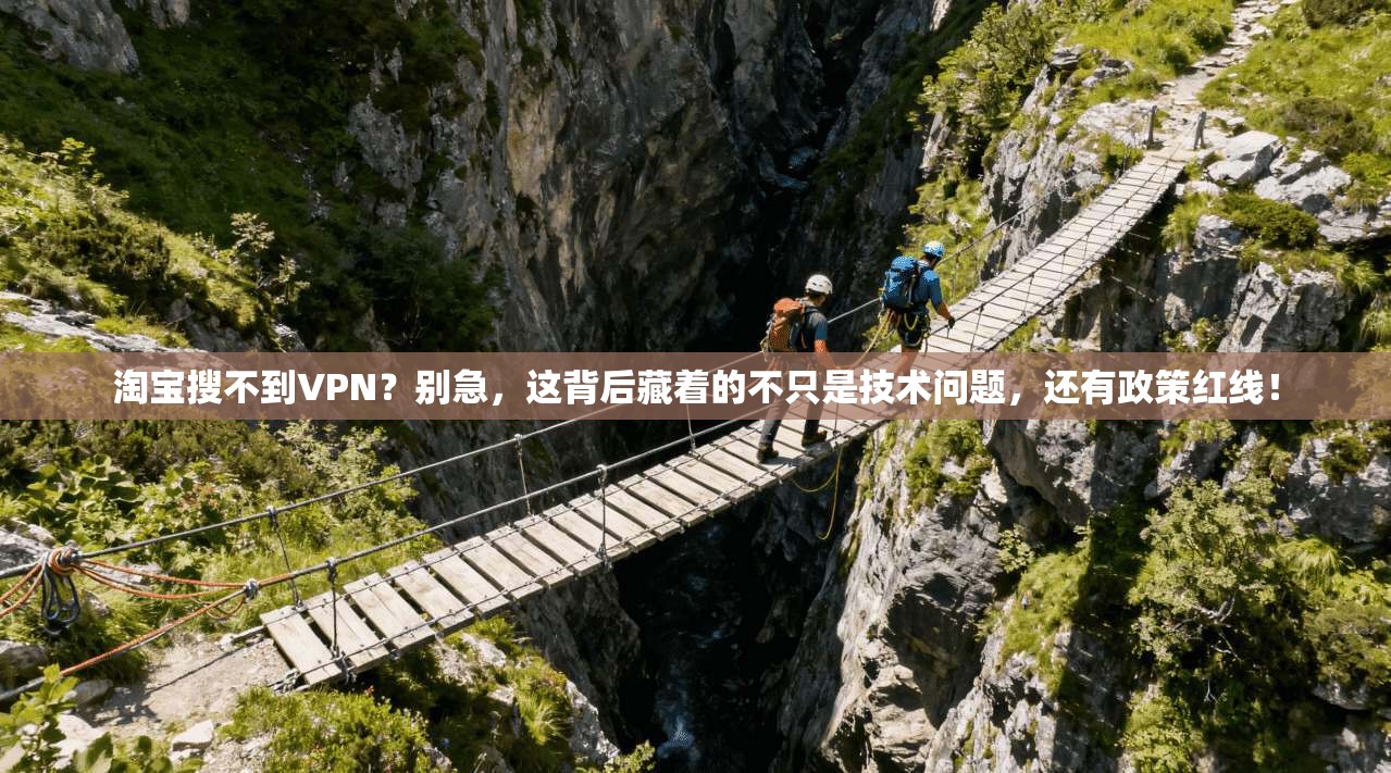 淘宝搜不到VPN？别急，这背后藏着的不只是技术问题，还有政策红线！