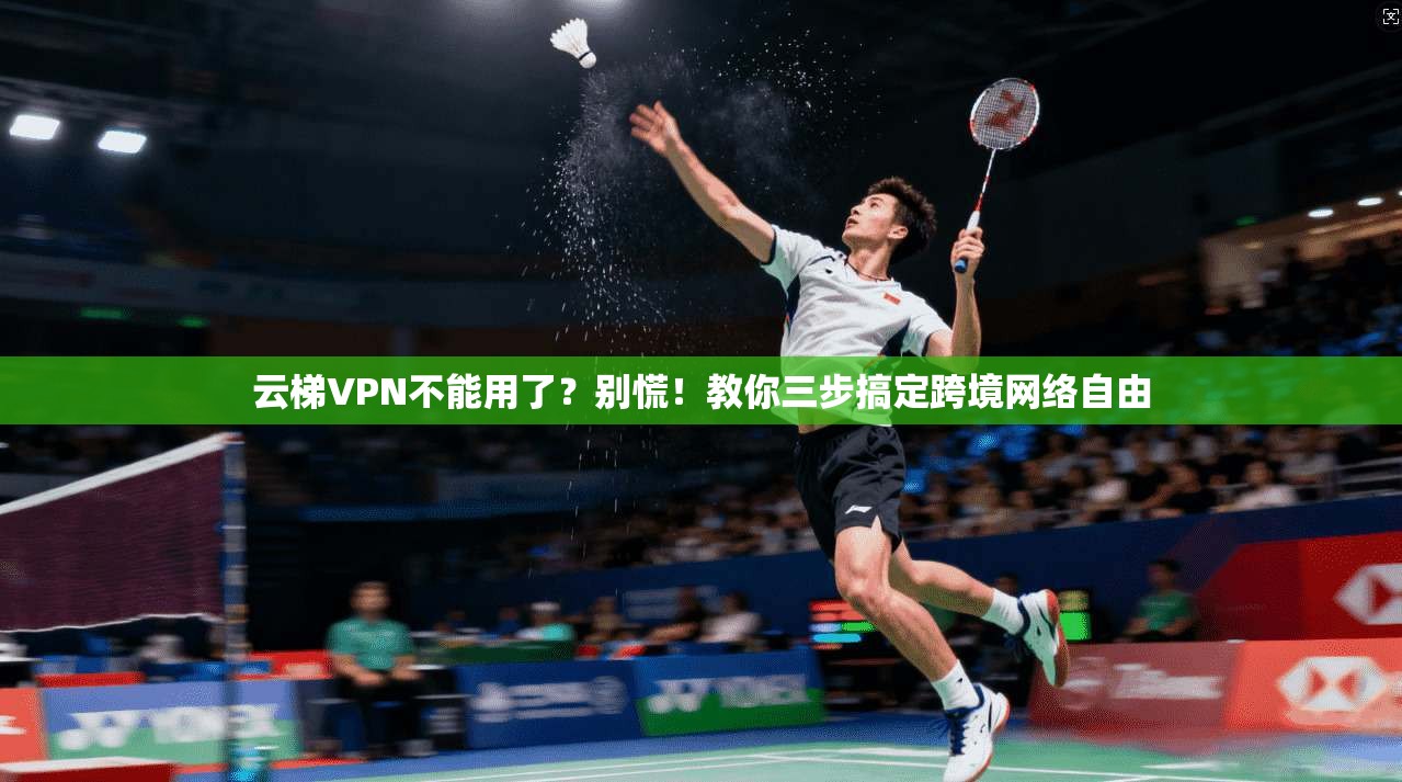 云梯VPN不能用了？别慌！教你三步搞定跨境网络自由