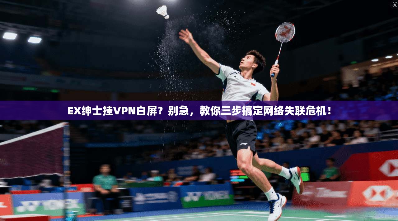 EX绅士挂VPN白屏?别急,教你三步搞定网络失联危机!