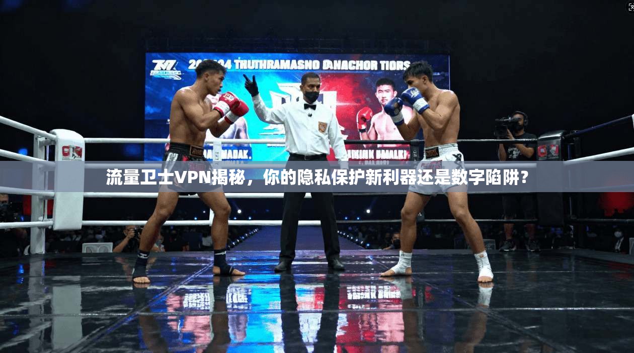 流量卫士VPN揭秘,你的隐私保护新利器还是数字陷阱?