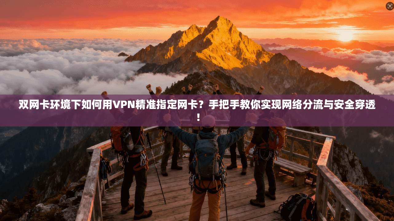 双网卡环境下如何用VPN精准指定网卡?手把手教你实现网络分流与安全穿透!