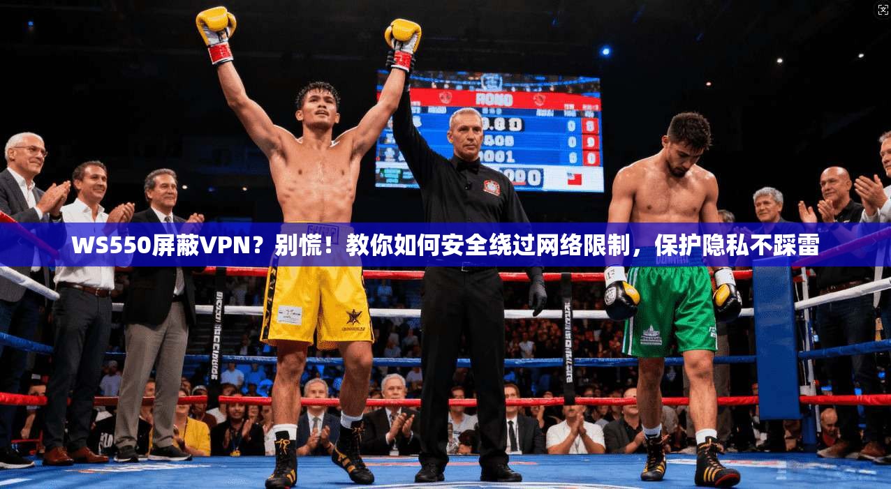 WS550屏蔽VPN？别慌！教你如何安全绕过网络限制，保护隐私不踩雷