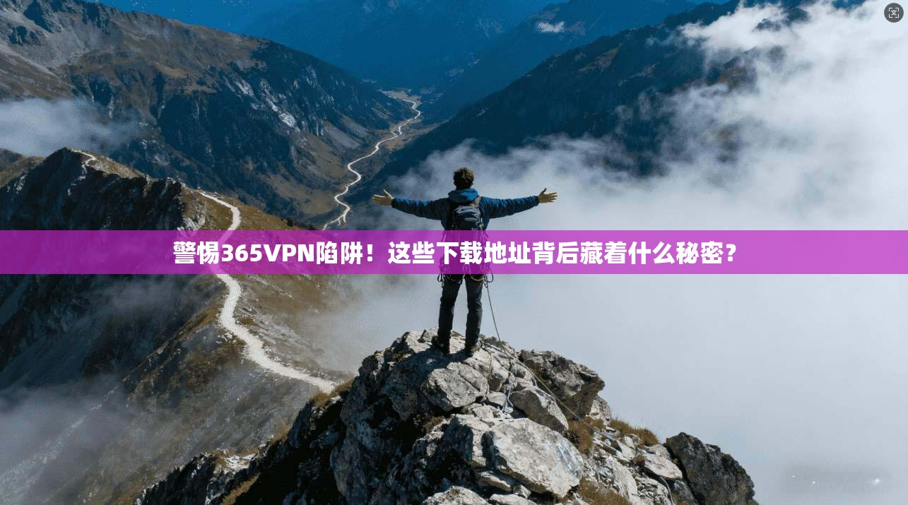 警惕365VPN陷阱！这些下载地址背后藏着什么秘密？