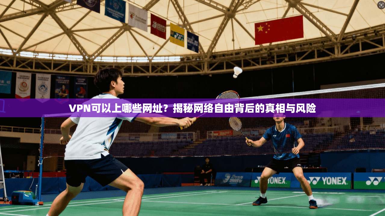 VPN可以上哪些网址?揭秘网络自由背后的真相与风险