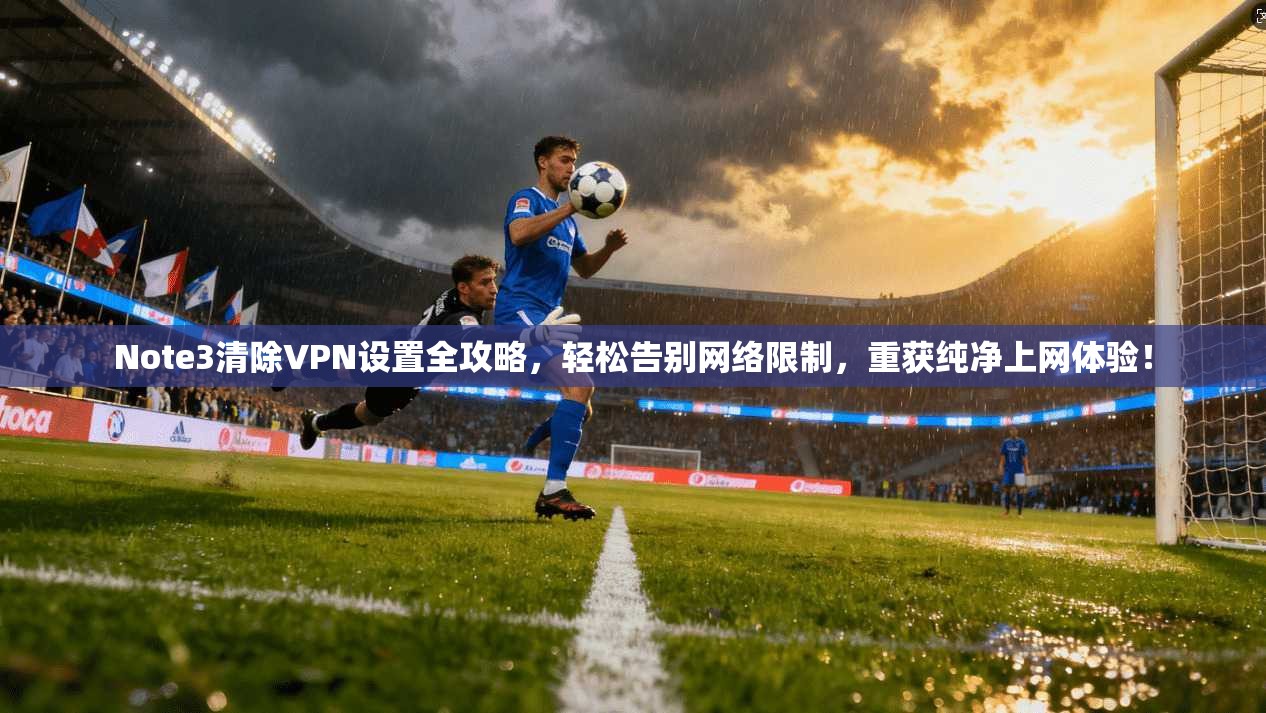Note3清除VPN设置全攻略,轻松告别网络限制,重获纯净上网体验!