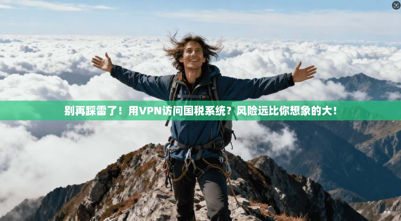 别再踩雷了!用VPN访问国税系统?风险远比你想象的大!