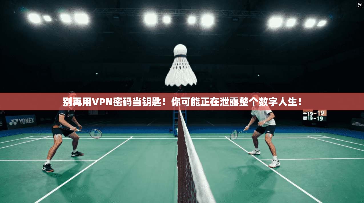 别再用VPN密码当钥匙！你可能正在泄露整个数字人生！