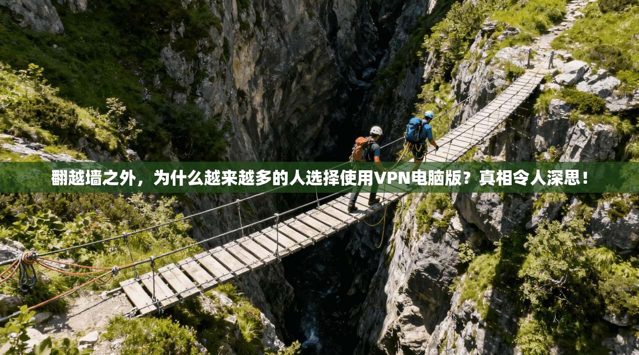 翻越墙之外，为什么越来越多的人选择使用VPN电脑版？真相令人深思！