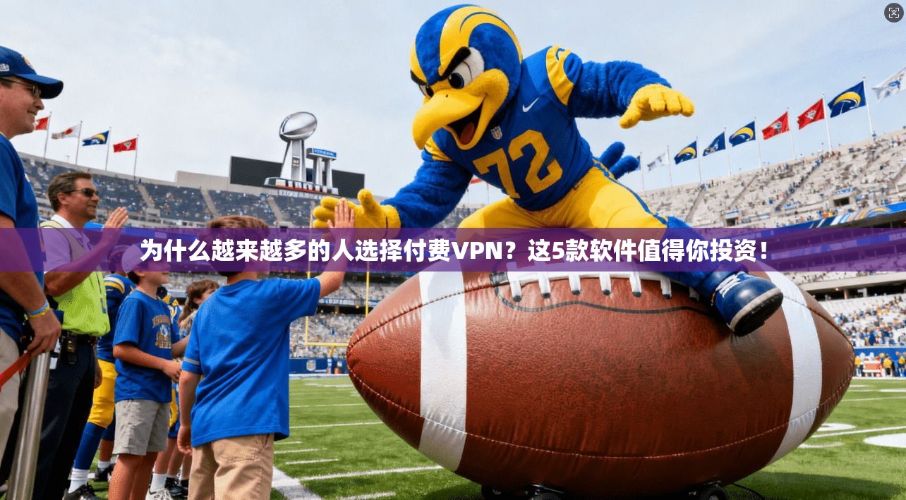 为什么越来越多的人选择付费VPN?这5款软件值得你投资!