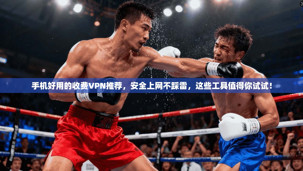 手机好用的收费VPN推荐，安全上网不踩雷，这些工具值得你试试！