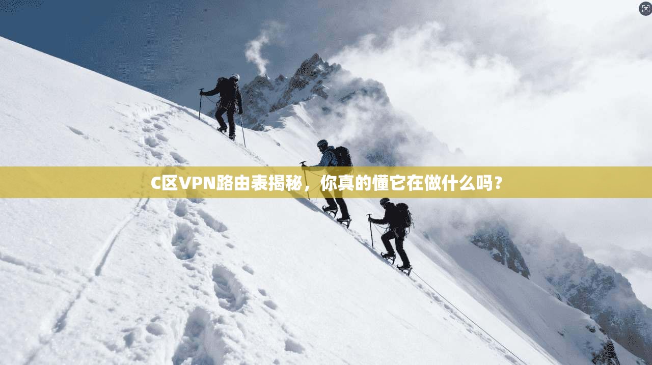 C区VPN路由表揭秘，你真的懂它在做什么吗？