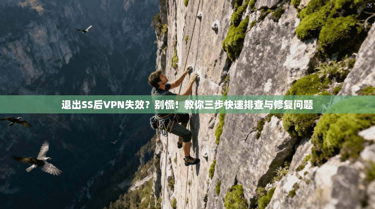退出SS后VPN失效?别慌!教你三步快速排查与修复问题
