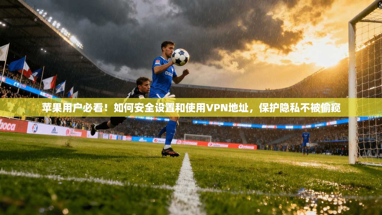苹果用户必看！如何安全设置和使用VPN地址，保护隐私不被偷窥