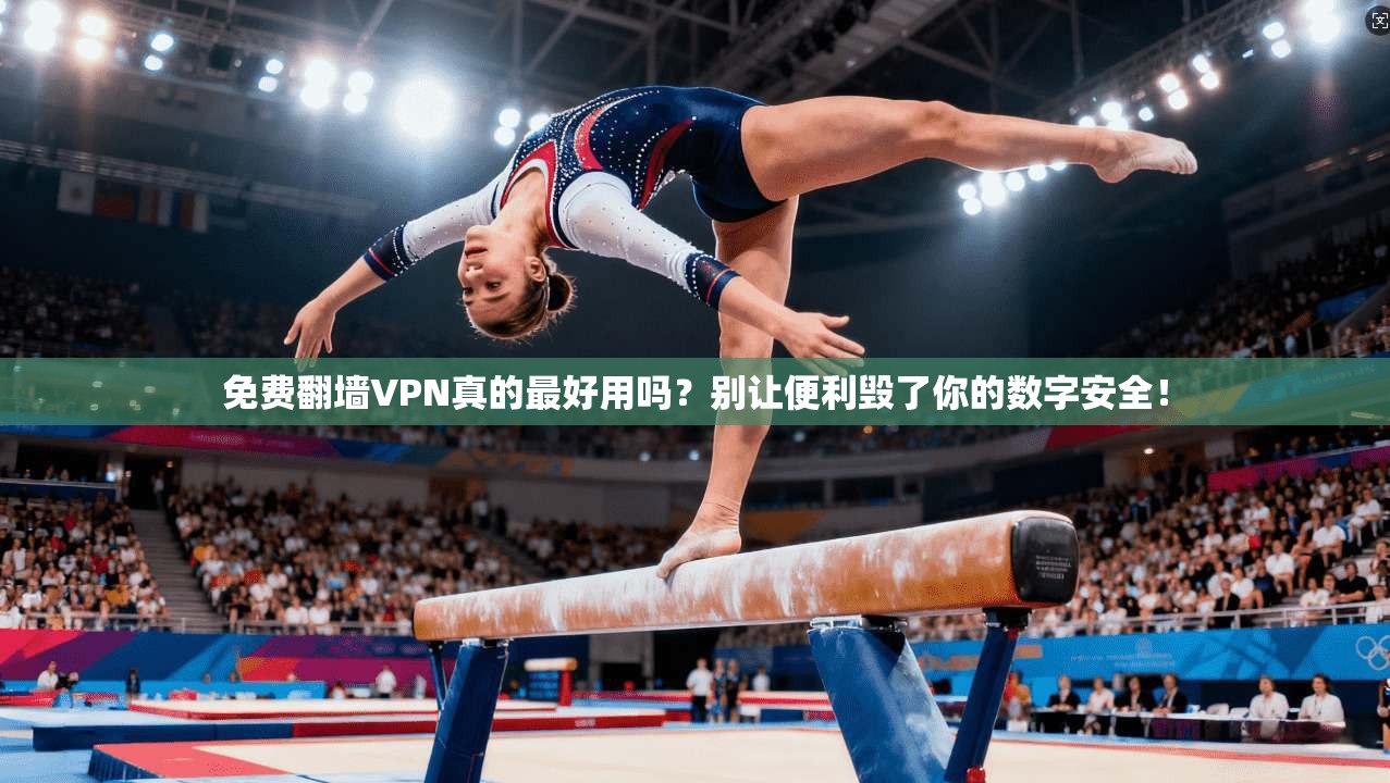 免费翻墙VPN真的最好用吗？别让便利毁了你的数字安全！