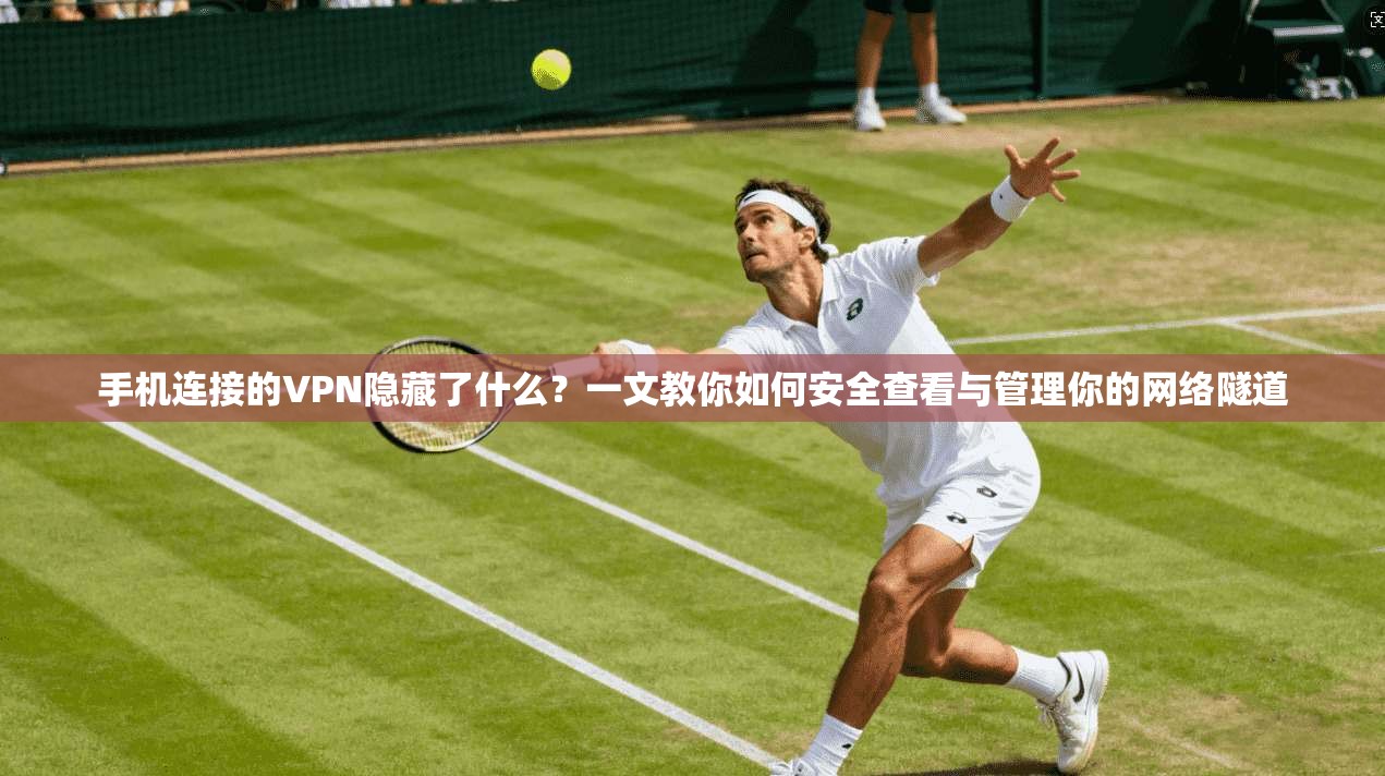 手机连接的VPN隐藏了什么？一文教你如何安全查看与管理你的网络隧道