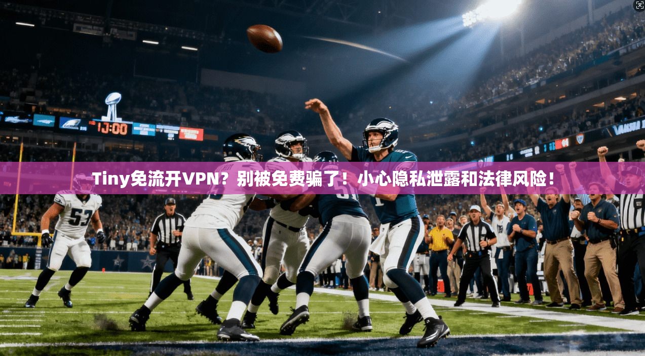 Tiny免流开VPN？别被免费骗了！小心隐私泄露和法律风险！