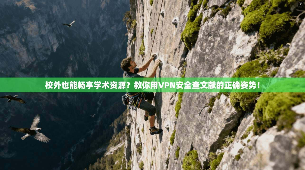 校外也能畅享学术资源？教你用VPN安全查文献的正确姿势！