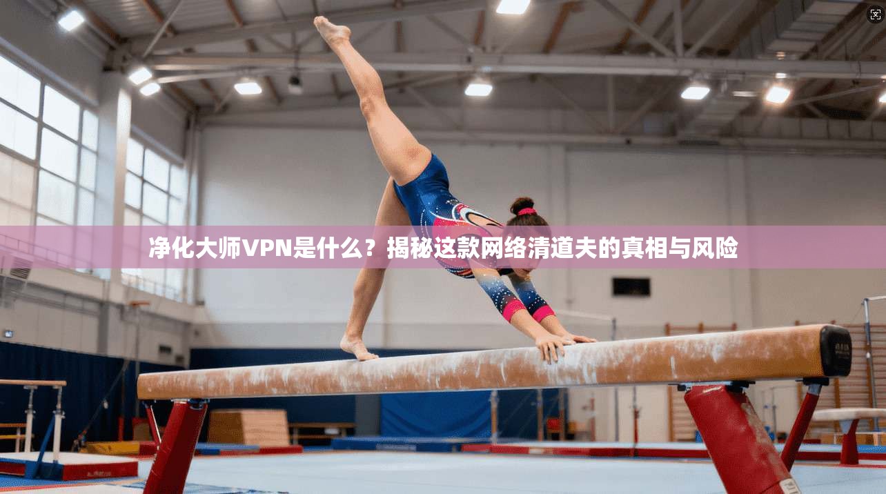 净化大师VPN是什么？揭秘这款网络清道夫的真相与风险