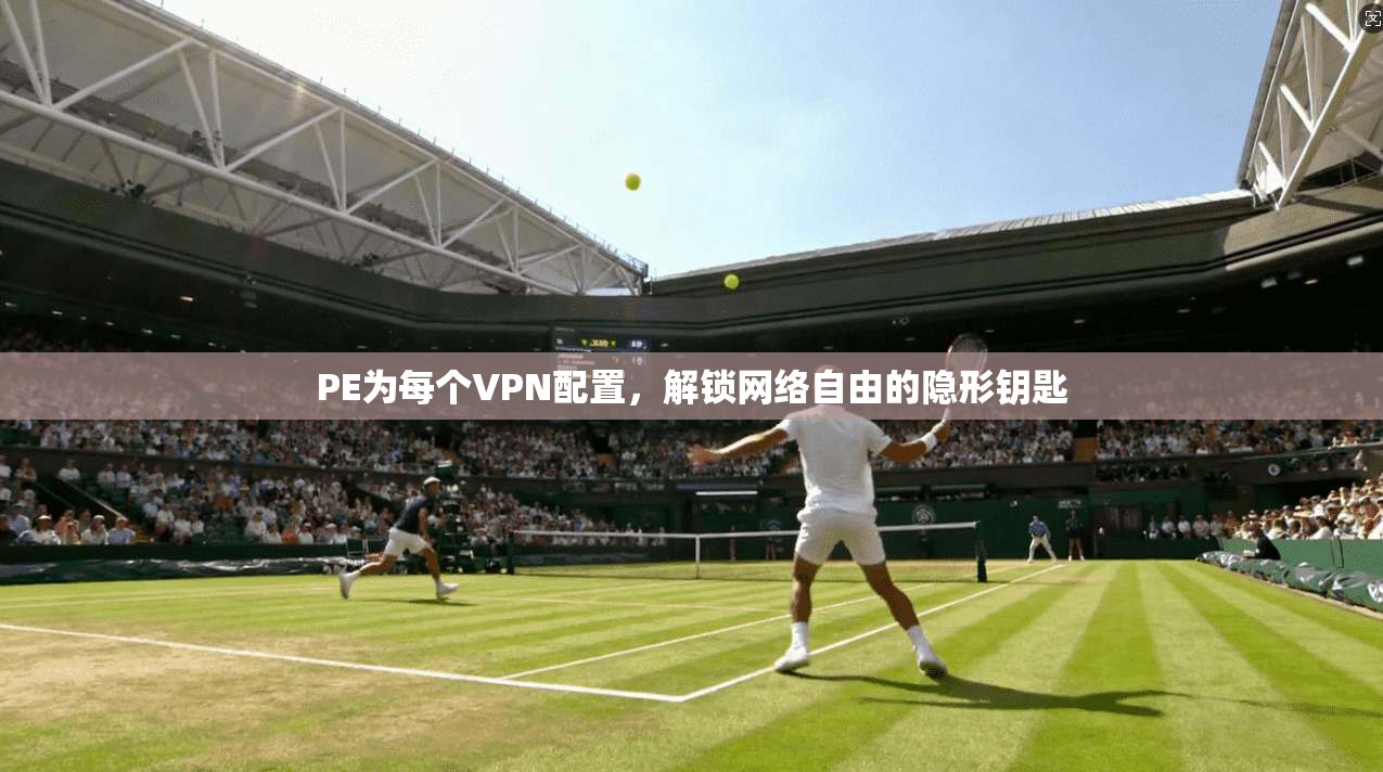 PE为每个VPN配置,解锁网络自由的隐形钥匙