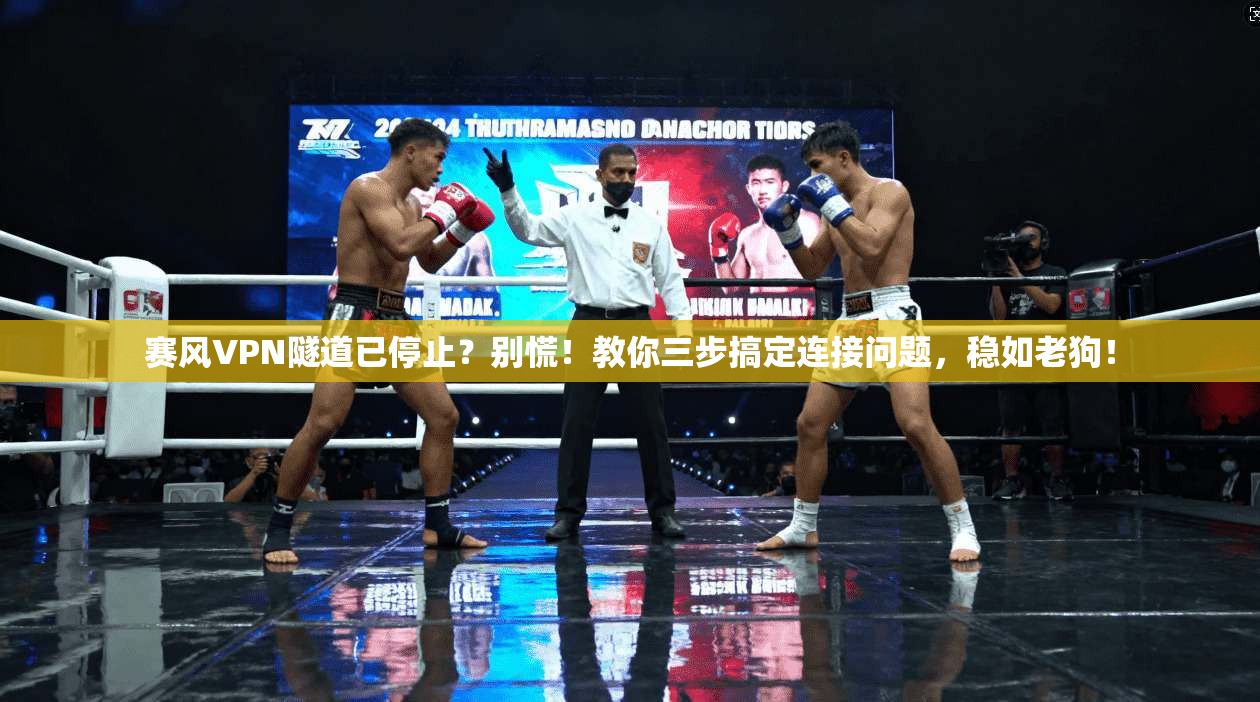 赛风VPN隧道已停止?别慌!教你三步搞定连接问题,稳如老狗!