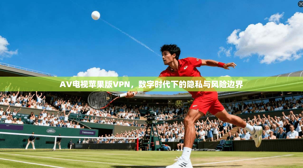 AV电视苹果版VPN，数字时代下的隐私与风险边界