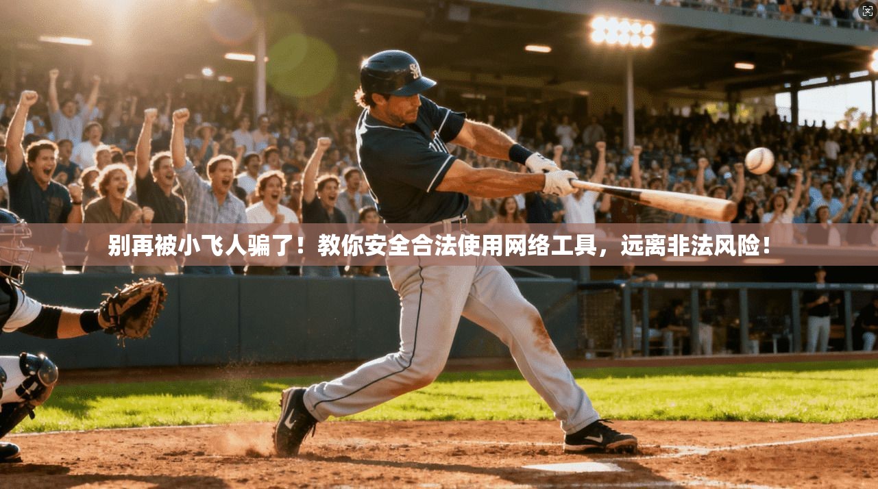 别再被小飞人骗了！教你安全合法使用网络工具，远离非法风险！