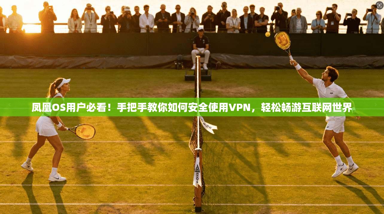 凤凰OS用户必看！手把手教你如何安全使用VPN，轻松畅游互联网世界